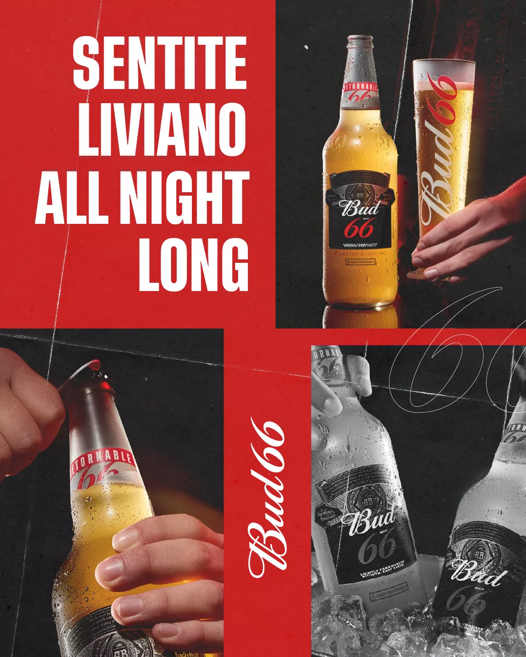 Bud66